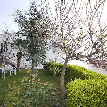 Apartment Pcelica Maja 포드스트라나 객실 사진